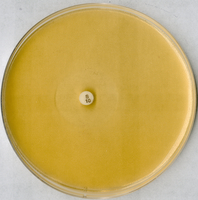 ANTIBIOTIC AGAR NO. 5 GROVE AND RANDALL